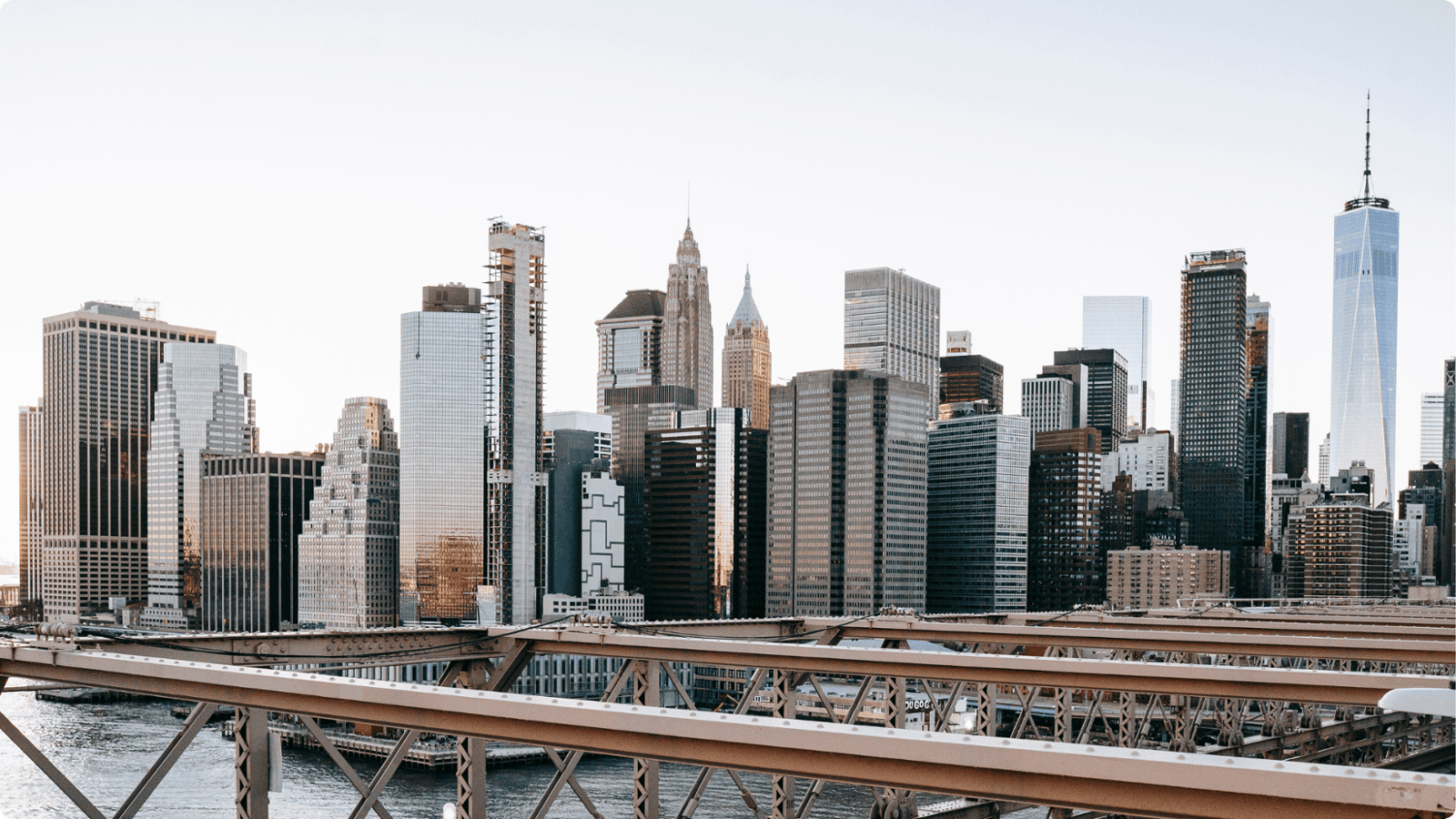 Maximising Business Success: The Foundation of Adrenaline Capital